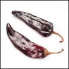Chile Guajillo Kg