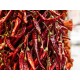 Chile de Árbol Kg