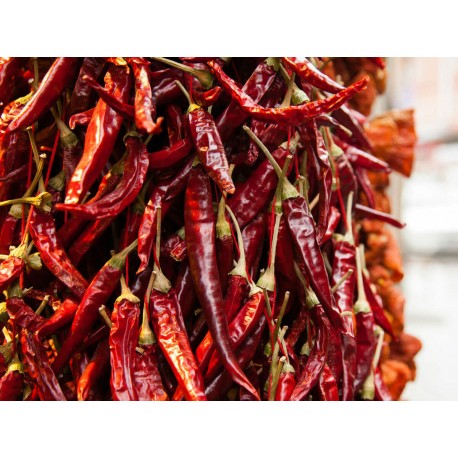 Chile de Árbol Kg